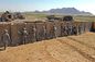 Protection d'armée de mur de suffisance de barrière de bastion de barrière de sacs de sable de Hesco de maille de mil Gabion fournisseur